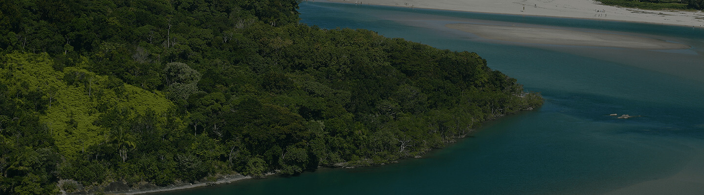 SalveOCódigoFlorestal - APPS Urbanas - Observatório do Código Florestal